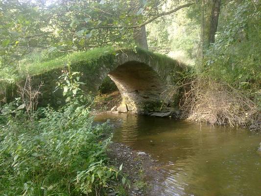 Schafbrücke im Kemnitztal